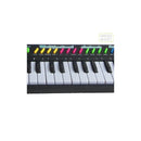 Teclado Piano com Microfone Infantil Brinquedo